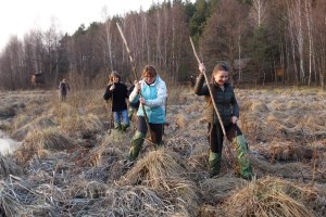 Бондарівське болото, Міжрічинський регіональний ландшафтний парк